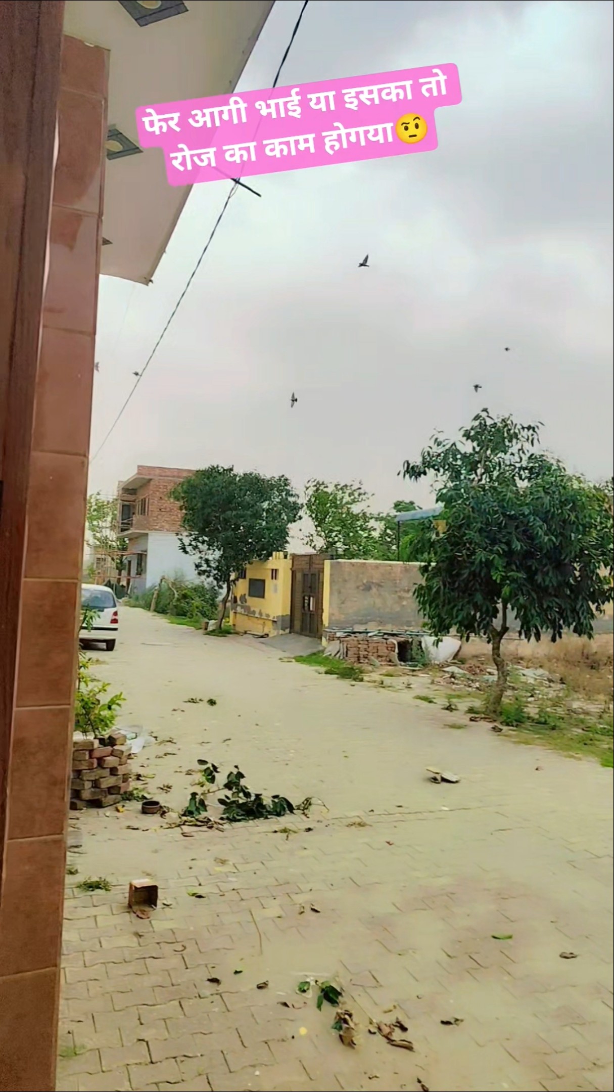 📹 ट्रेंडिंग वीडियो - ShareChat