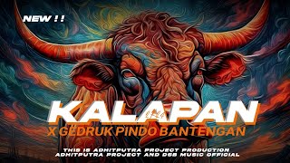 DJ KALAPAN X GEDRUK PINDO  VIRAL TIKTOK | YANG KALIAN CARI CARI !! DSB MUSIC OFCL