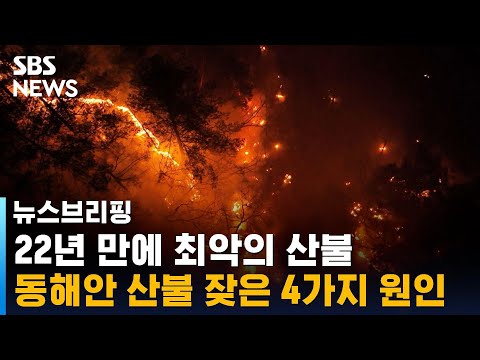 22년 만에 최악의 산불…동해안 산불 잦은 4가지 원인 / SBS / 주영진의 뉴스브리핑