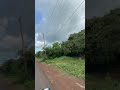 ផ្លូវចូលចំការ (Farm entrance)