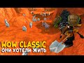 Turtle WoW - Hardcore на WoW Classic за друида с двумя глифами!