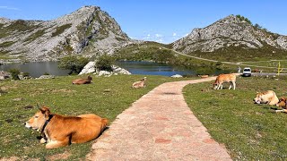 Picos de Europa Lagos Hiking Trails