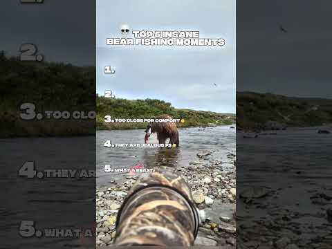 Best Bear Fishing Moments DONT CHECK SOUND Shorts Fishing Epic Moments Top Viral Bear 