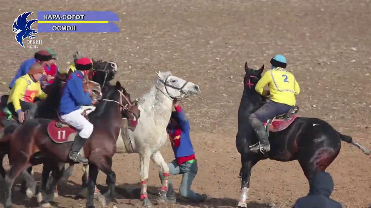 #көкбөрү2020 ОСМОН КАРА СОГОТ