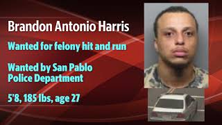 We've got a couple parolees-at-large: Check out this week's Sacramento's Most Wanted