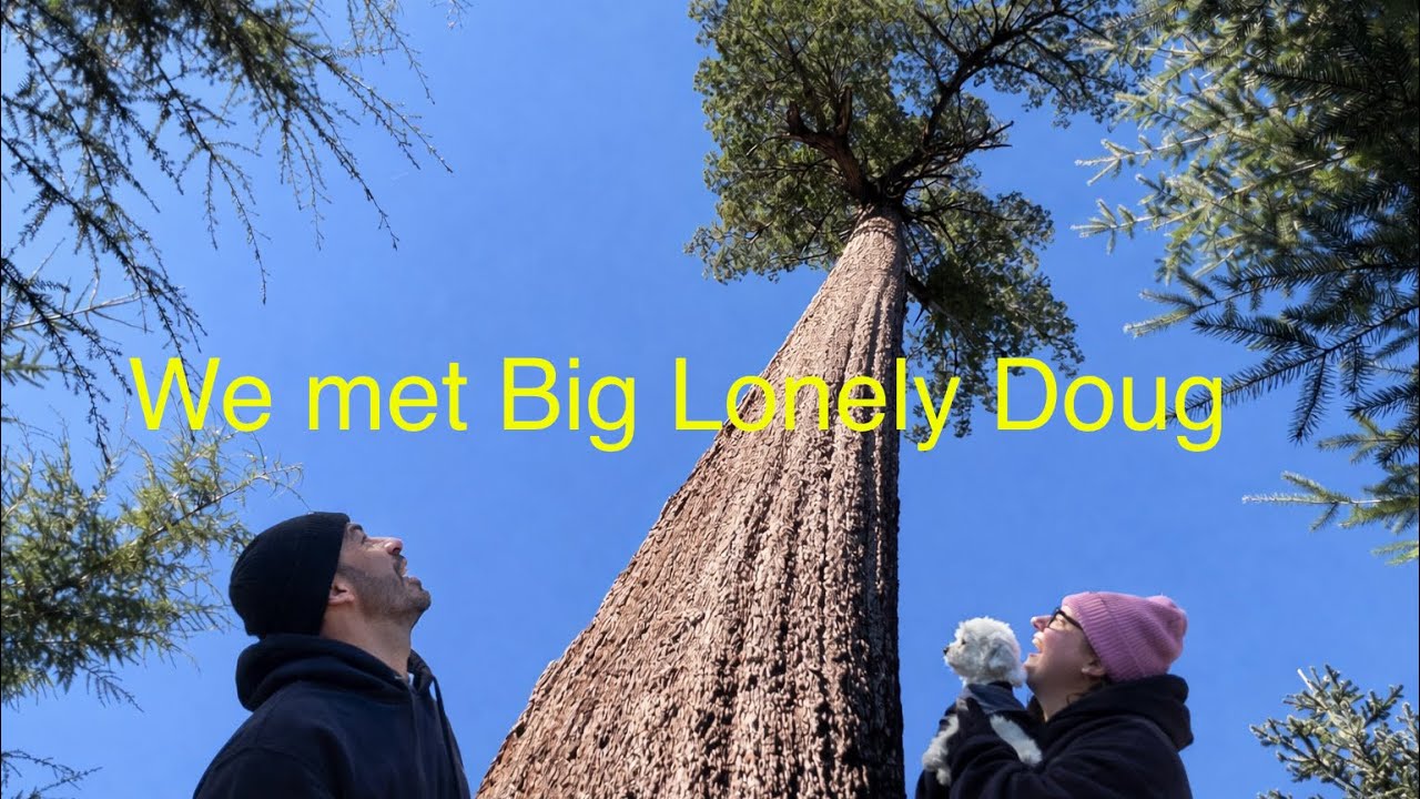 Come with us for a weekend exploring Port Renfrew 