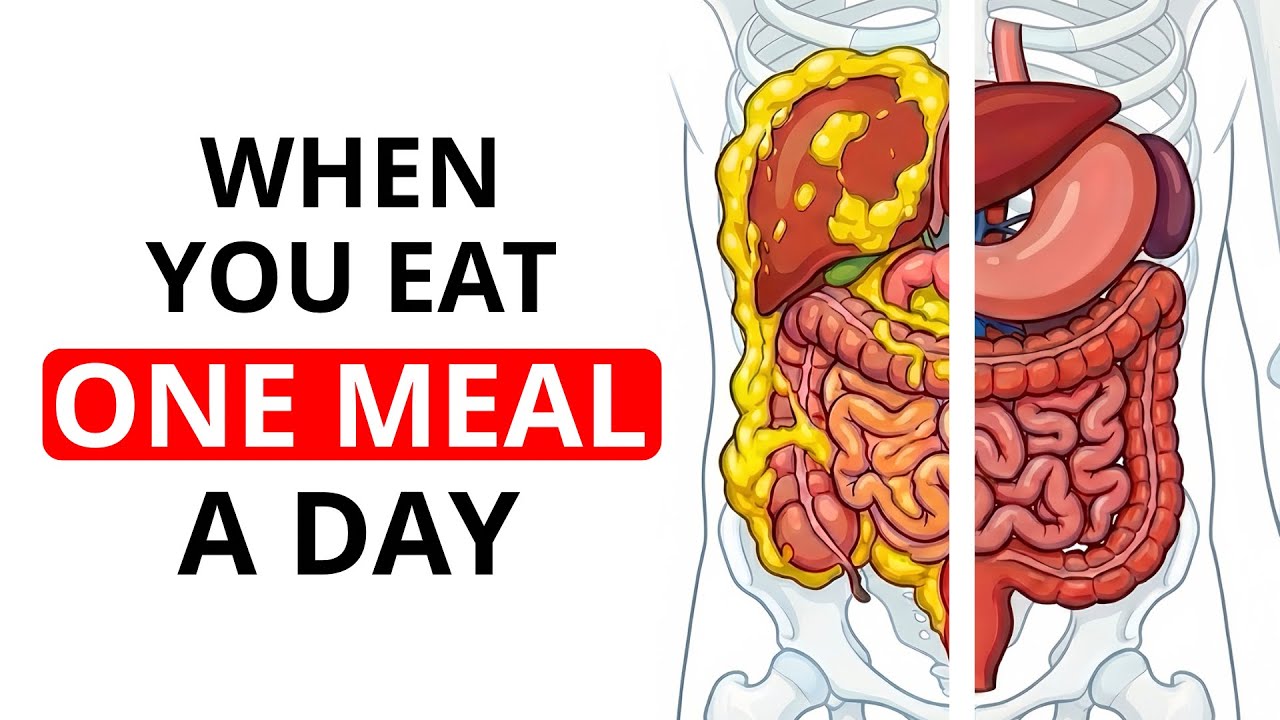 What Happens To Your Body If You Eat One Meal A Day (Hour By Hour)