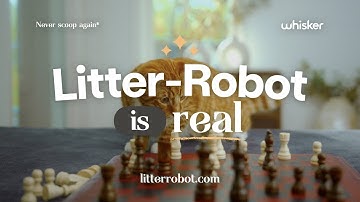 Litter-Robot is real | Chess