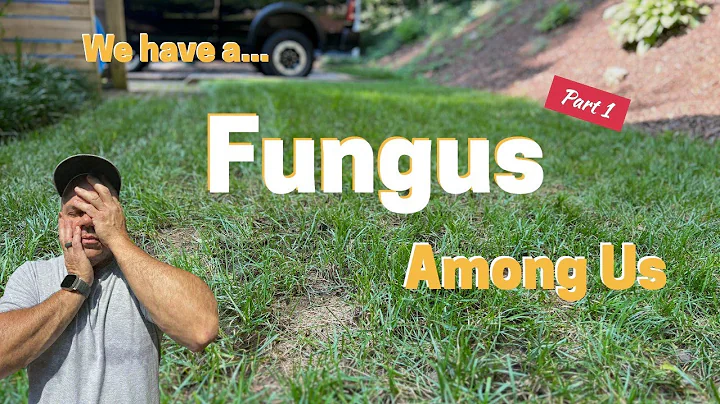 Fungus Among Us // Control Disease in Your Lawn - Part 1
