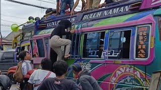 Download Lagu Penumpang Bus Gunung Begitu Ramai Sehingga Kekurangan Armada (Sutra, Murni, Makaro).  MP3