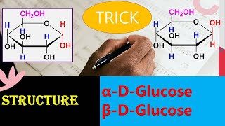 Haworth structure of Glucose || Trick || Dr. Bharat Baria