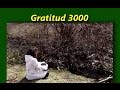 Gratitud 3000