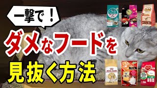 猫の幸せを追求獣医がアナタの猫に最適なフードの選び方を紹介