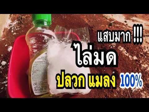 วีดีโอ: 7 วิธีในการขจัดคราบเครื่องหมายบนผนัง