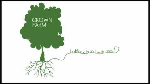 Intro Flash Animation for Web Based Client