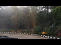 திருப்பதி பனிமூட்டம்