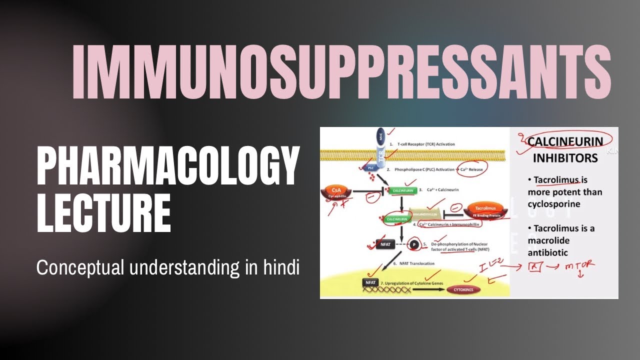 Immunosuppressants. Pharmacology lecture. Chemotherapy