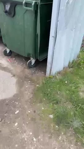 Сифон и Борода - YouTube