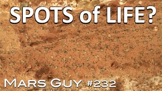 Download Lagu NASA announces potential biosignatures on Mars MP3 Download Lagu NASA announces potential biosignatures on Mars MP3