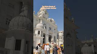The Divine Beauty of Golden Temple Amritsar
