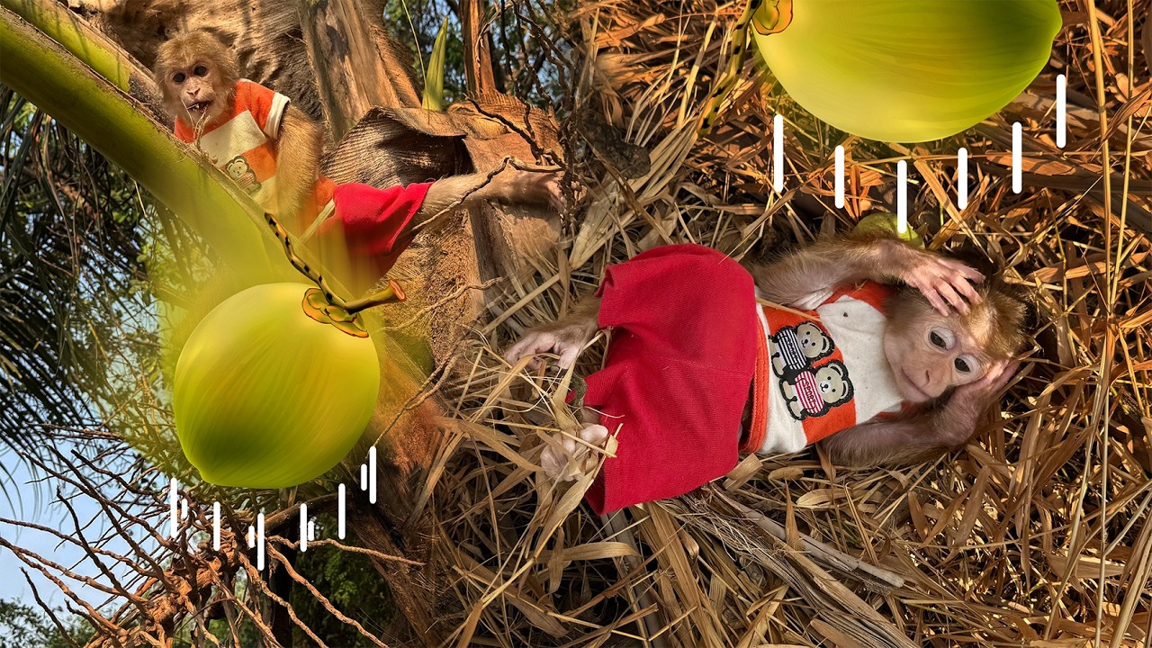 Really shocking! Lucky’s actions toward Sunny left Mom panicking!