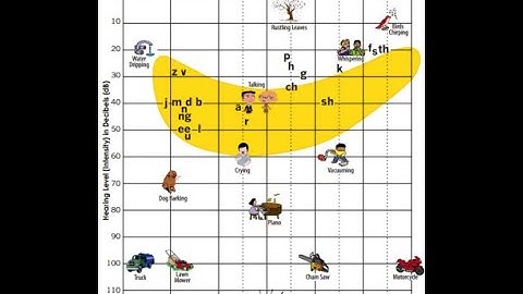 Audiogram banana speech