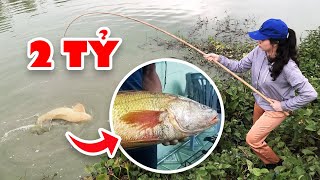 7 Rarest Fishes In Vietnam That Will Make You A Billionaire