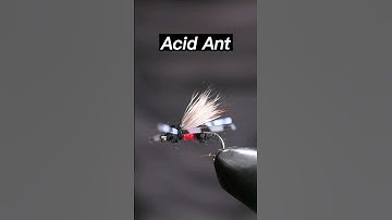 Fly tying the Acid Ant | Fly tying tutorial #flytying #tutorial #flyfishing #dryfly