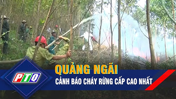 Quảng Ngãi cảnh báo cháy rừng cấp cao nhất | PTQ