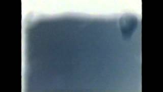 Celebrity Buck Knife by Revival Times Net Worth