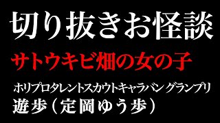 【切り抜きお怪談】”サトウキビ畑の女の子” 定岡ゆう歩『島田秀平のお怪談巡り』