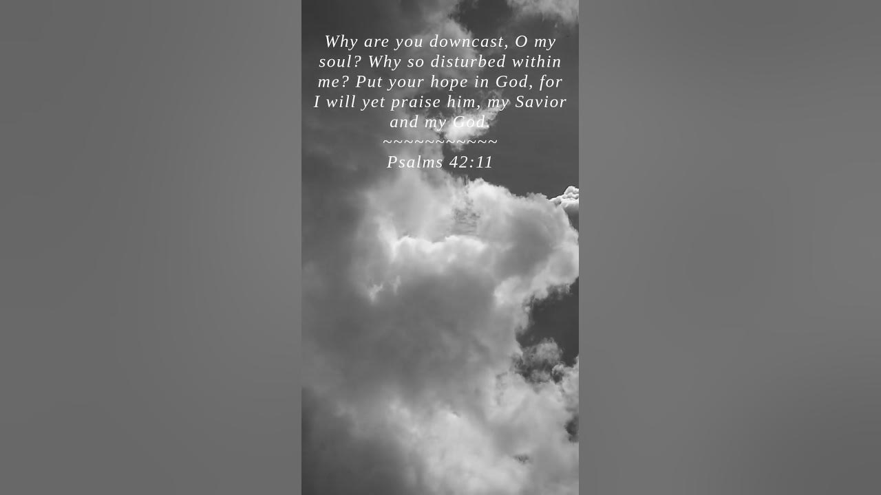 bible-psalms-42-11-why-are-you-downcast-o-my-soul-youtube