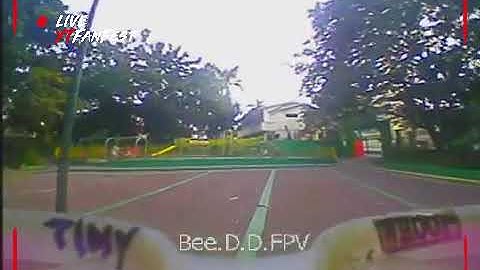 Kingkong LDARC TINY 7X - Trying to fly low, but afternoon wind won’t cooperate.