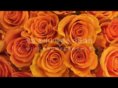 【和訳】갈 수가 없어 (Can't go) - 벤 (Ben) [이번 생은 처음이라 OST Part.8]