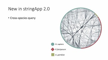 Cytoscape stringApp 2.0: Analysis and... - Nadezhda T. Doncheva - Poster - ISMB/ECCB 2023