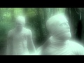 Capture de la vidéo Reverse The Curse - To Dig A Hole