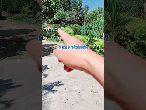 ตามหารีสอร์ทที่พักค้างคืน