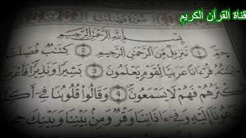 سورة فصلت تلاوة خاشعة رائعة للقارئ شادي عادل محمد