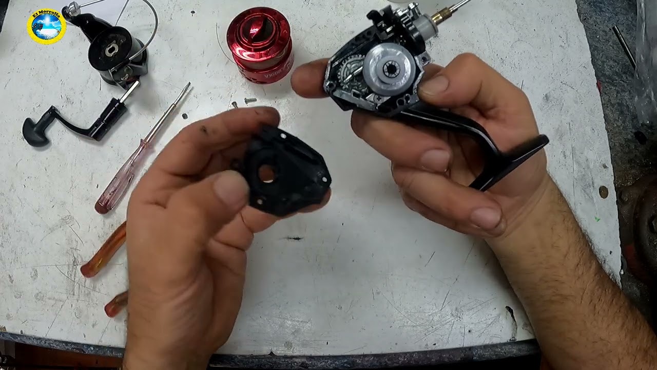 LINEAEFFE VIGOR MUSTANG 40 FD FISHING REEL - YouTube