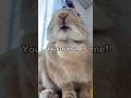 This Bunny Is the Boss | Part 1 🐰