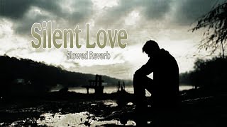 Silent Love  | Slowed Reverb | new song 2025 | BNT | Lofi Music | Use Headphone 🎧🎶🎶