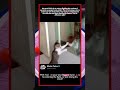 🤣 2026 POV: Unleashed! The Funniest Animal Fails & Wins Compilation #AnimalLovers # #pov #comedy 😍🦁