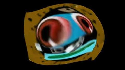 Klasky Csupo in Sphere Blowing (VivaCut Version)