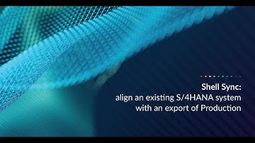 Shell Sync: align an existing S/4HANA system with an export of Production