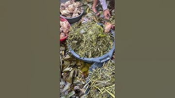 Tradisi Bakar Batu Papua #dagingbabi #papua #bakarbatu #viral #shorts