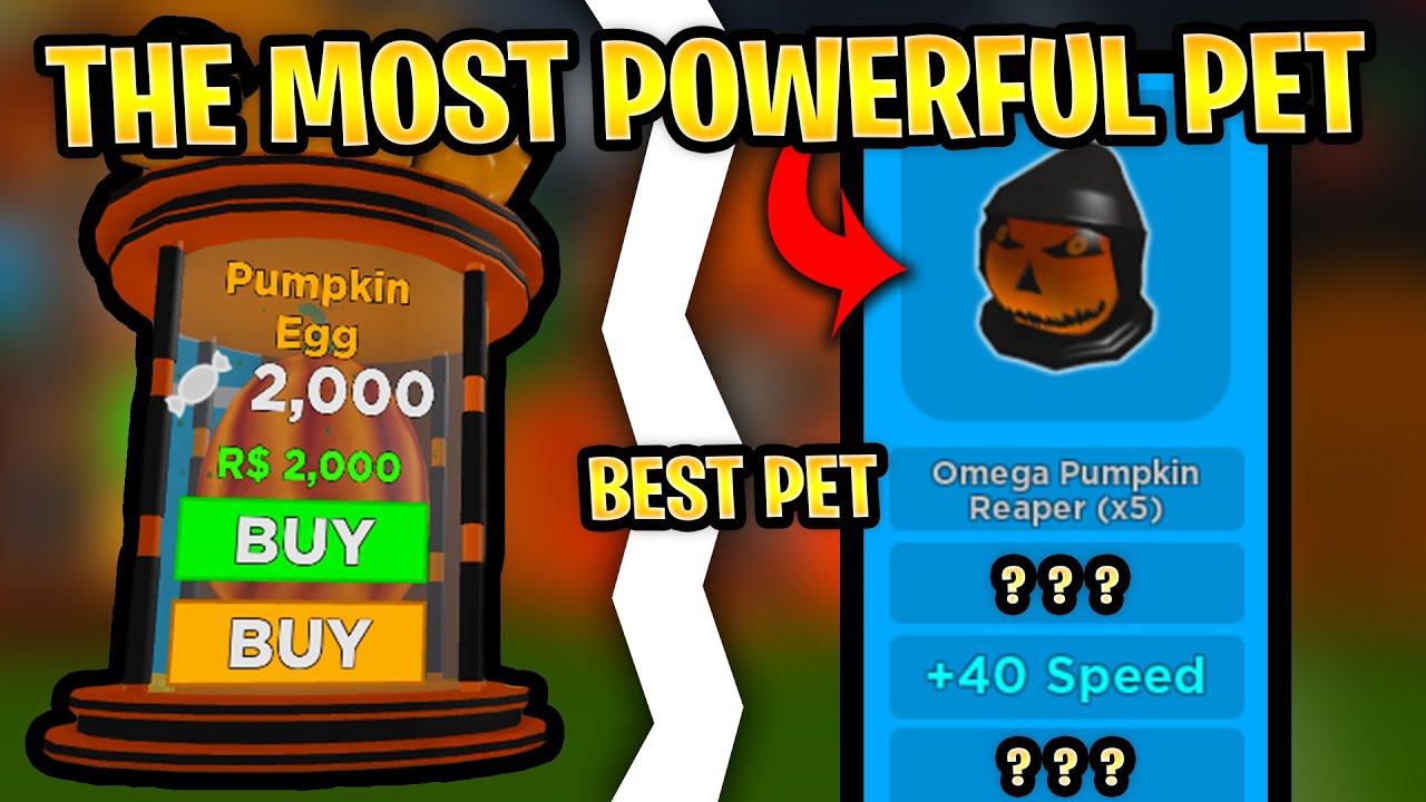 I GOT THE BEST PET IN SIMULATOR IT HAS INSANE STATS YouTube