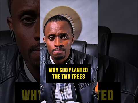 🌳How Freedom works. #freedom #Jesus #treeofknowledge #christian #shorts