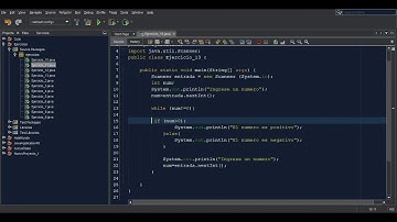 Indicar si números son positivos o negativos y parar ingresando cero con Ciclo While | ejercicio 13