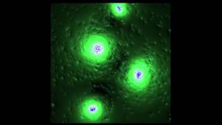 N-body simulation + potential field (using CUDA)
