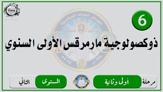 الحان مهرجان الكرازة 2024 مرحلة اولى وثانية - المستوى الثاني | ذوكصولوجية مارمرقس الأولى السنوي